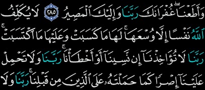 القرآن الكريم بدون انترنت syot layar 3