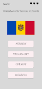 Fun With Flags Affiche