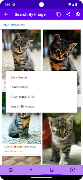 5 Schermata Search By Image