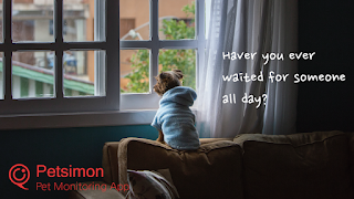 Petsimon pet monitoring camera poster