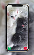Animals Wallpapers screenshot 4