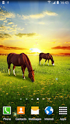 Spring Nature Live Wallpaper screenshot 3