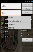 برنامه‌نما French Malagasy Dictionary عکس از صفحه
