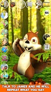 Talking James Squirrel poster