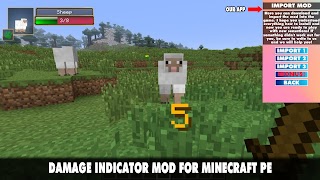 Damage Indicator Mod Minecraft স্ক্রিনশট 6