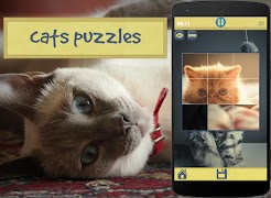 Cats Puzzles 海报