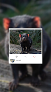 Pixabay screenshot 2