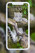 Macan Tutul Wallpaper screenshot 6