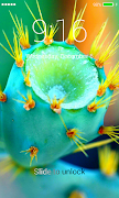 Cactus Lock Screen ภาพหน้าจอ 3