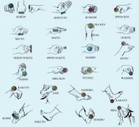 Karate-Lerngalerie Screenshot 2