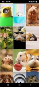 ハムスターの壁紙 スクリーンショット 7