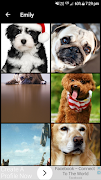 برنامه‌نما Dog Wallpapers عکس از صفحه