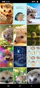 刺猬壁纸 截图 2