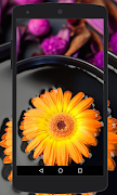 Flower Wallpapers capture d'écran 1