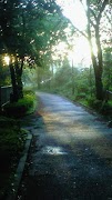 Test Application WP : 01 syot layar 1