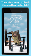 Weather BUB اسکرین شاٹ 6