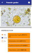 Parasite garden syot layar 4