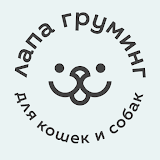 Лапа Груминг biểu tượng
