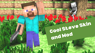 Steve Mod Skins for Minecraft screenshot 5