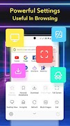 Web Browser Screenshot 4