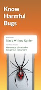 Bug Identifier: Bug Finder screenshot 2