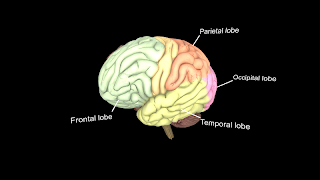 BrainVR ảnh chụp màn hình 1