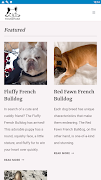 پوستر Frenchie Pocket
