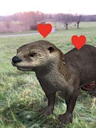 Silurus Ekran Görüntüsü 6