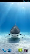 Shark Wallpapers screenshot 3