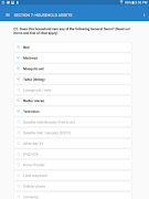Survey Solutions Tester Screenshot 4