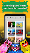 Skins Pack for Minecraft poster