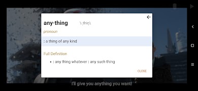 SubDictionary Video Player captura de pantalla 5