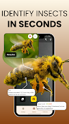 Bug Identifier: Bug Scanner poster