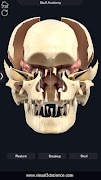 Skull Anatomy Pro. ภาพหน้าจอ 6
