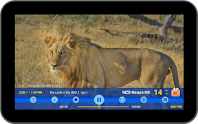 TiviApp Live TV Player screenshot 6