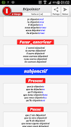 Conjugaison Sans NET ภาพหน้าจอ 5