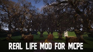 پوستر Real Life Mod in Minecraft PE