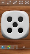 پوستر Playing Dice