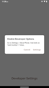 Developer Settings imagem de tela 2