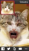ZombieBooth 2 截圖 5