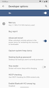 Developer Settings captura de pantalla 3