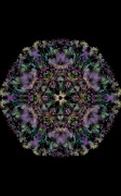 AndrFRpaint 스크린샷 2