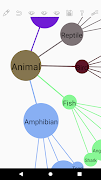 1 Schermata Mind Map 2