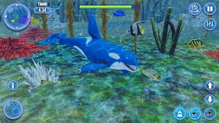 Orca Killer Whale Simulator screenshot 5