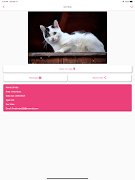 Missing Pets - Find Lost Pet screenshot 6