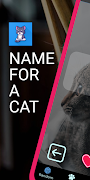 Name for a cat Plakat
