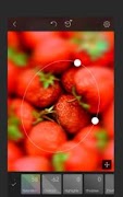 Poster Editor Photopear