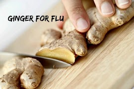Benefits of Ginger screenshot 7