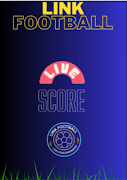 林克足球 海报