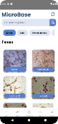 MicroBase 截圖 2
